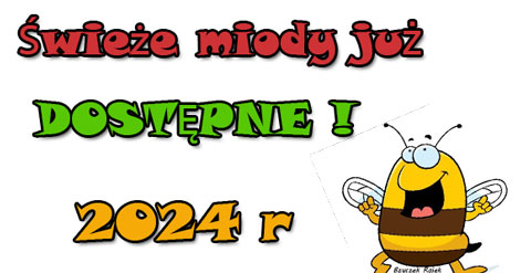 Świeże miody 2024 !