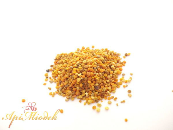 Bee pollen 25 kg PACKAGE