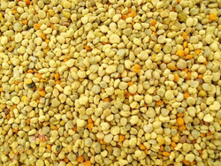 Bee pollen 10 kg bag