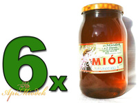 Set 6 x Goldenrod honey 1.2 kg PREMIUM