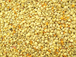 Bee pollen 10 kg bag