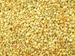 Bee pollen 5 kg bag