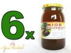 Set of 6 x Multiflower Honey 1.2 kg PREMIUM