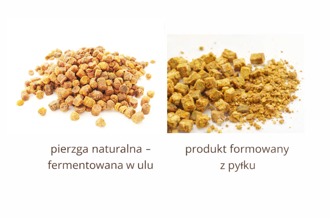 Bee Bread PREMIUM  0,8 kg Bag