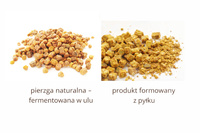 Bee Bread PREMIUM  0,8 kg Bag