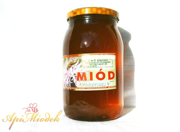 Goldenrod honey 1.2 kg PREMIUM