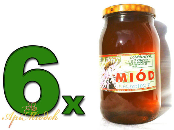 ZESTAW 6 x Miód Nawłociowy 1,2 kg